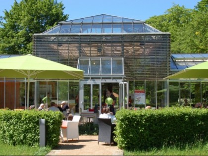 Foto: Palmenhaus 