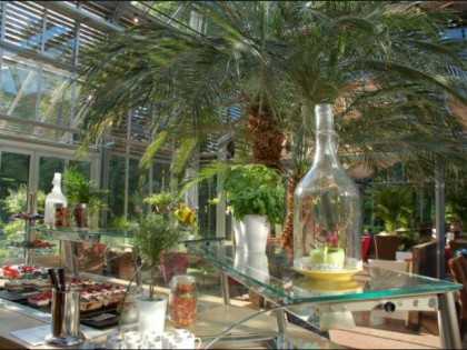 Foto: Palmenhaus 